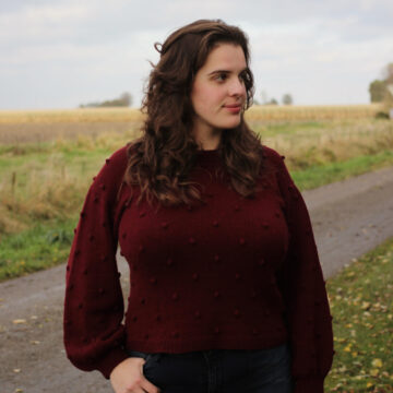 Rosehip Sweater Nederlands PDF patroon